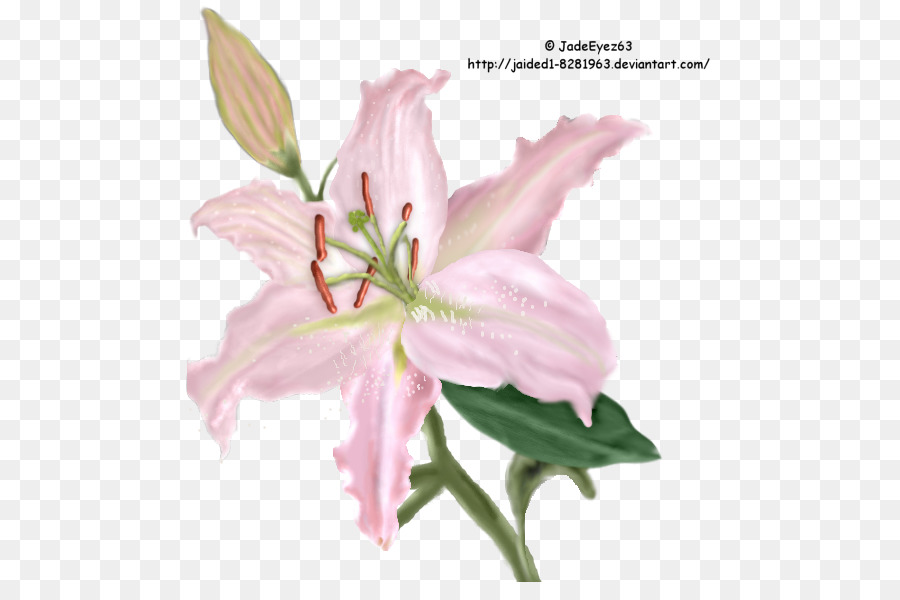 Las Flores Cortadas，Rosa M PNG