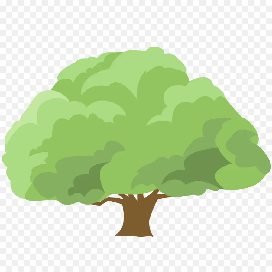 árbol De Dibujos Animados，Hojas Verdes PNG