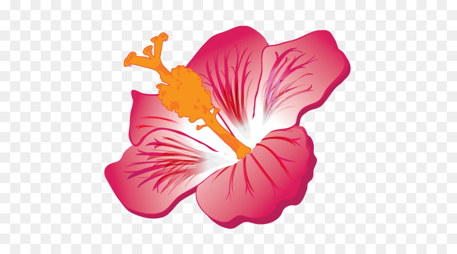 Flor De Hibisco Rojo，Florecer PNG