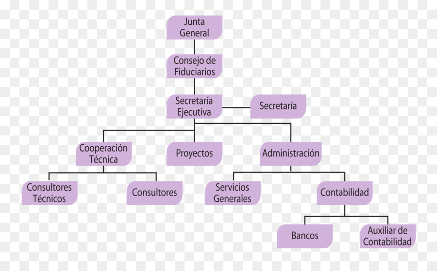 Organización，Estructura De La Organización PNG