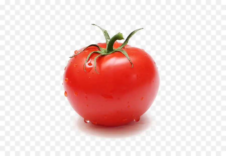 Tomate Ciruela，Bush Tomate PNG