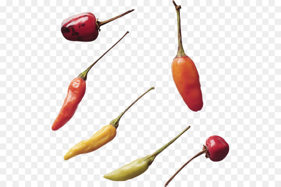 Habanero，Pimienta Serrano PNG