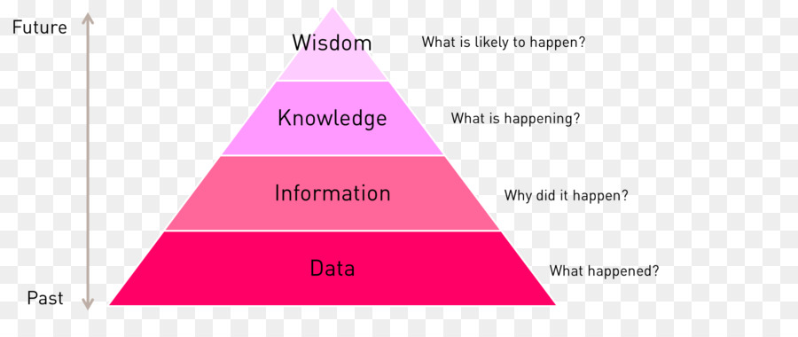 Inteligencia De Negocios，Información PNG