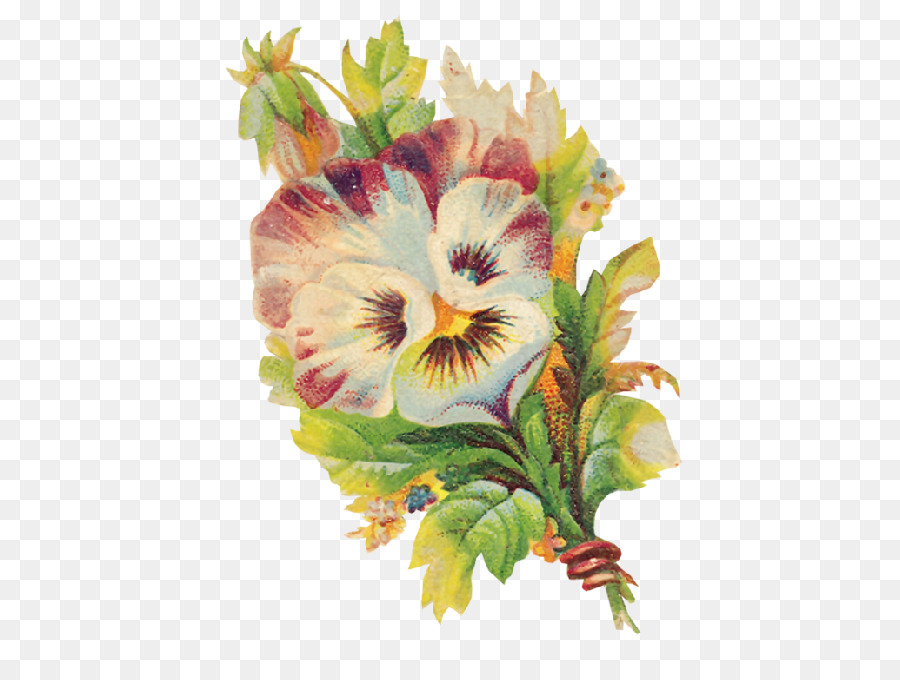 Pansy，Pintura A La Acuarela PNG