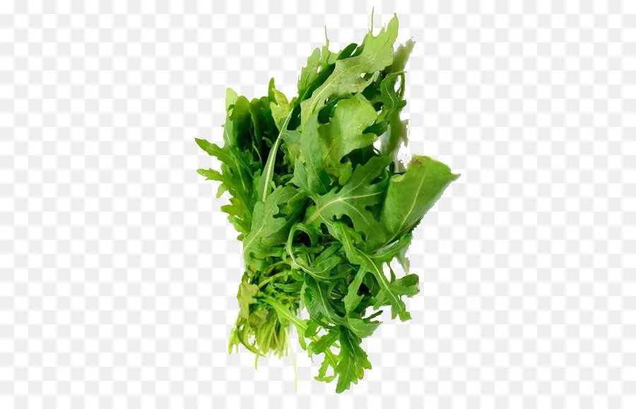 Cilantro，Perejil PNG