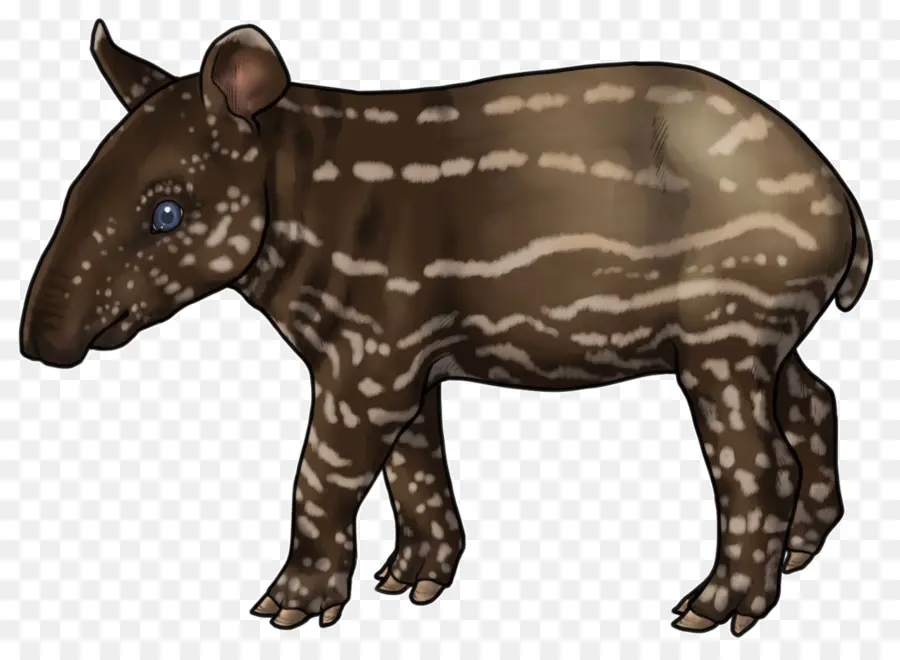 Tapir，Hocico PNG