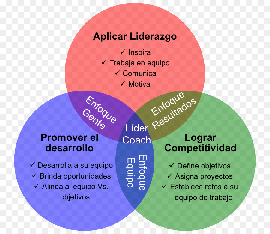 Liderazgo，Competencia PNG