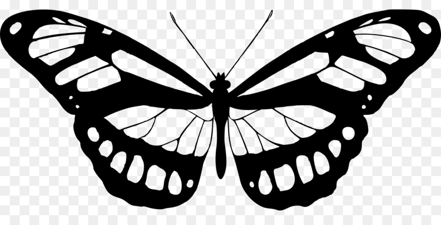 Mariposa，Grabado PNG