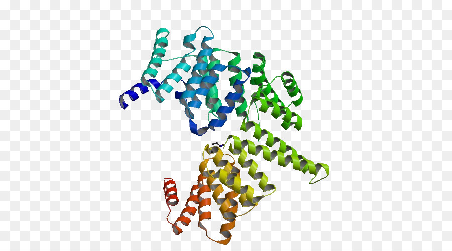 Proteína，Acomodar PNG