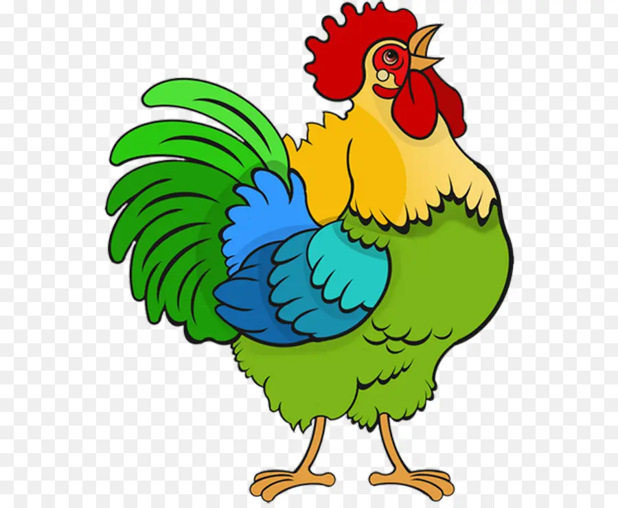 Pollo，Dibujo PNG