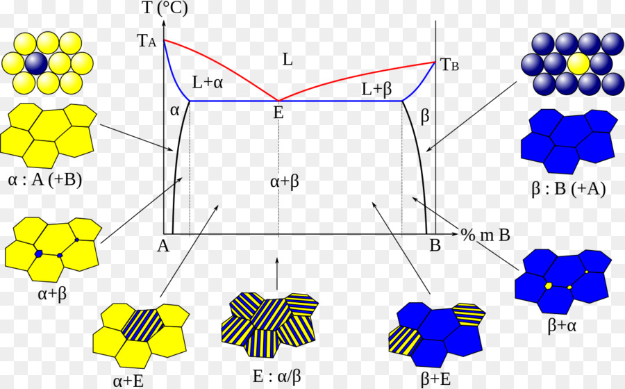 Eutéctica Del Sistema，Diagrama De Fase PNG