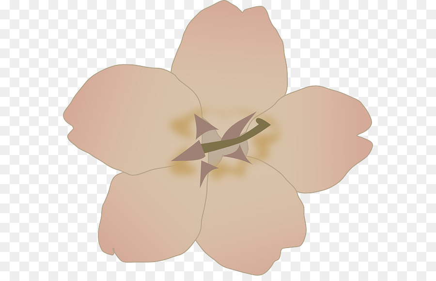 Iconos De Equipo，De Los Cerezos En Flor PNG