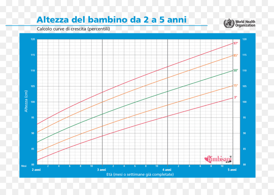 Gráfico De Crecimiento，Peso PNG