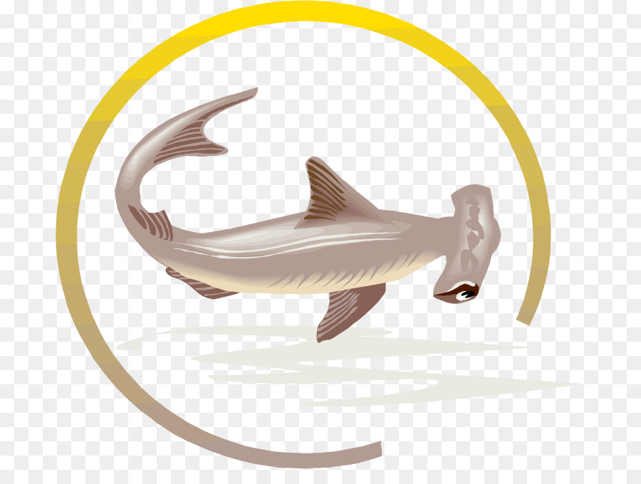 Tiburón，Tiburón Martillo PNG
