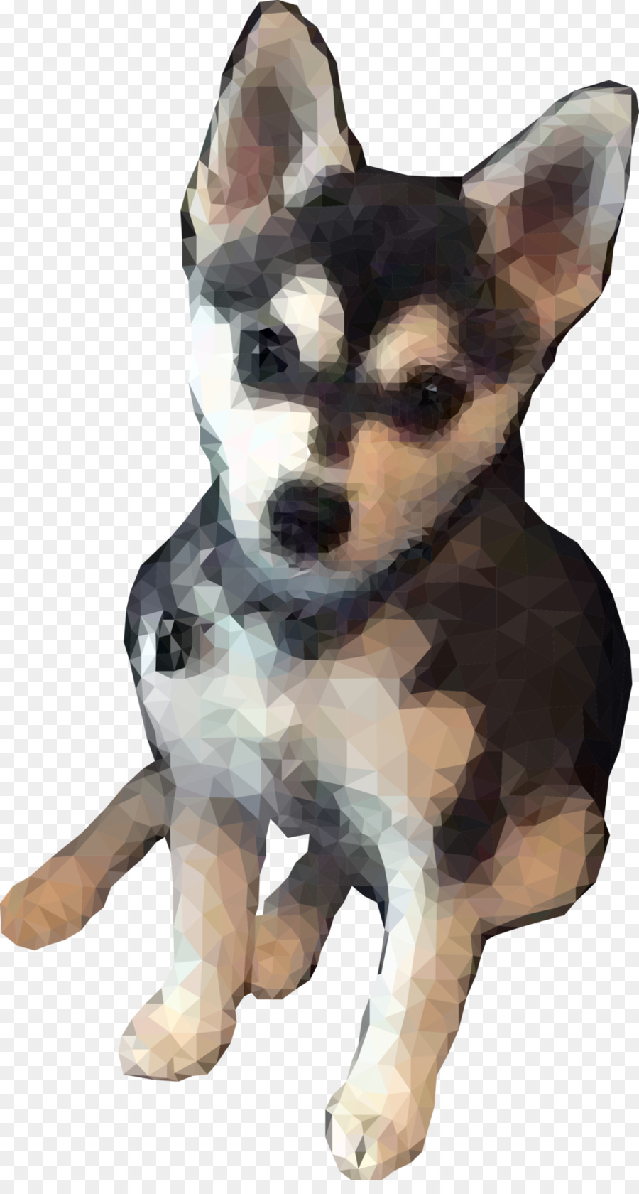 Raza De Perro，Husky Siberiano PNG