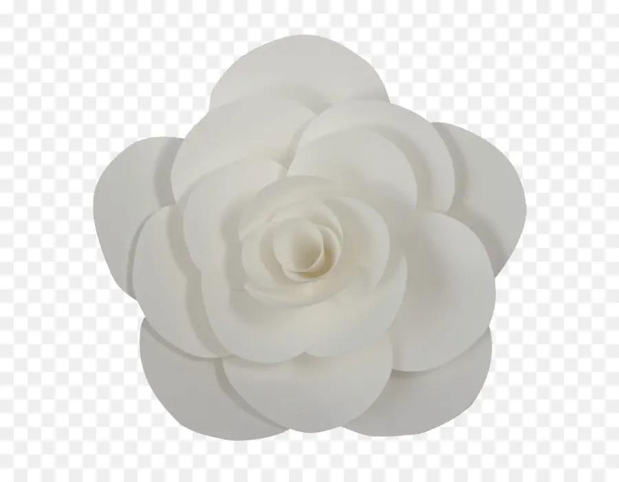 Flor Blanca，Pétalos PNG