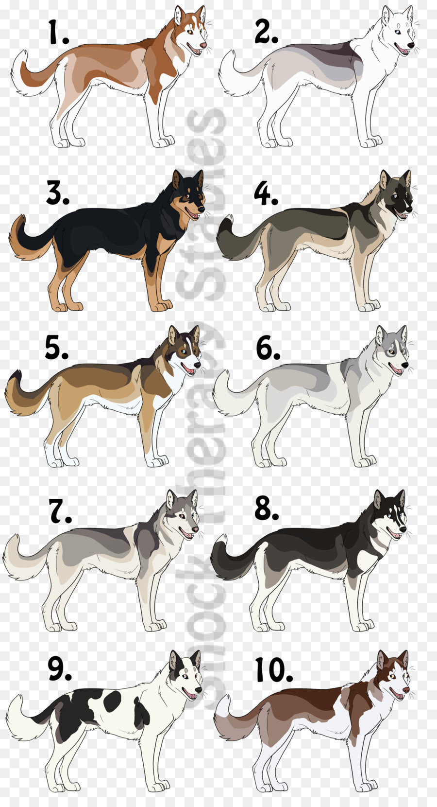 Raza De Perro，Husky Siberiano PNG