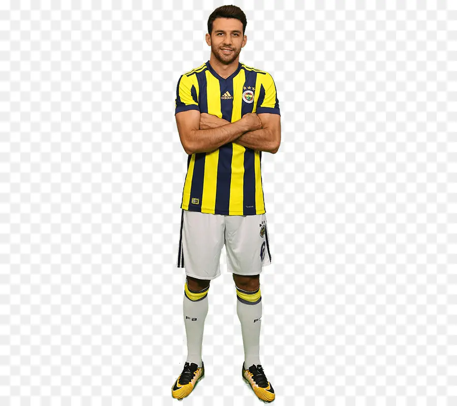 Ismail Köybaşı，El Fenerbahçe Sk PNG