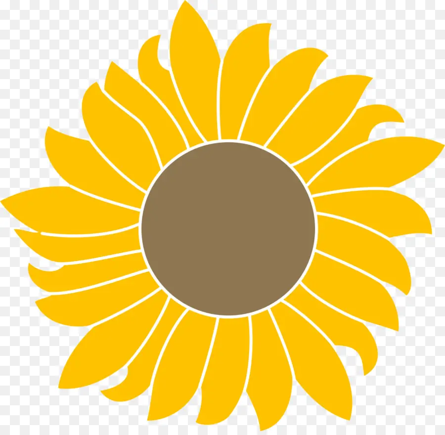 Girasol，Amarillo PNG