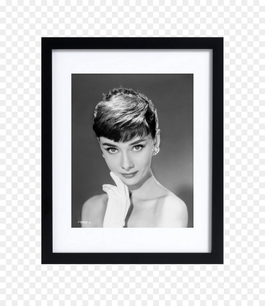 Audrey Hepburn，Marcos De Imagen PNG