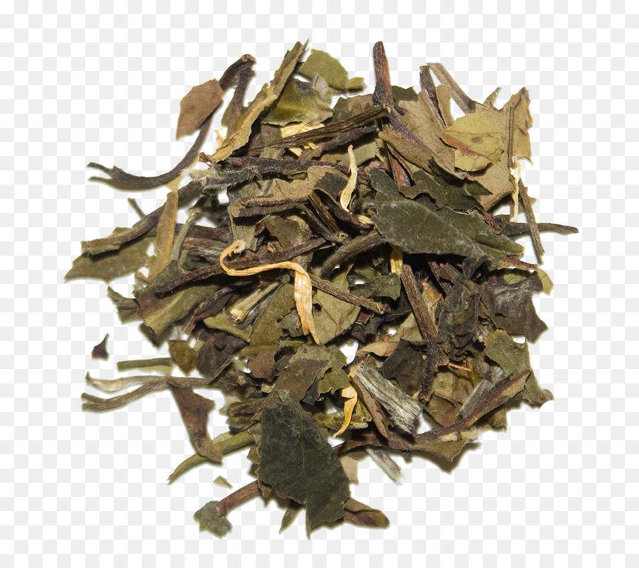 Té Blanco，Bai Mudan PNG