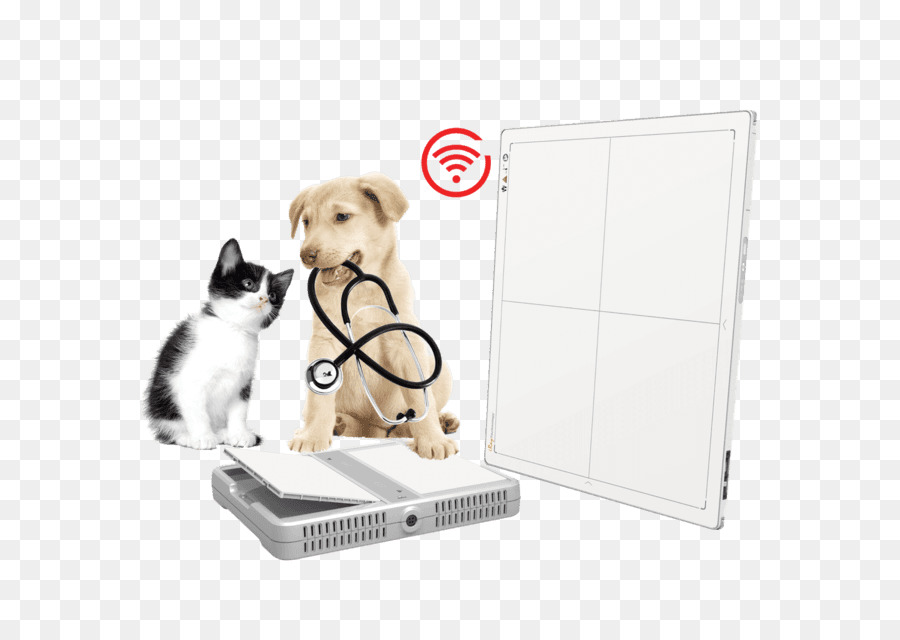 Veterinario，Mascota PNG