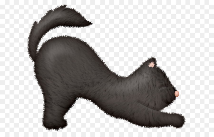 Bigotes，Gatito PNG