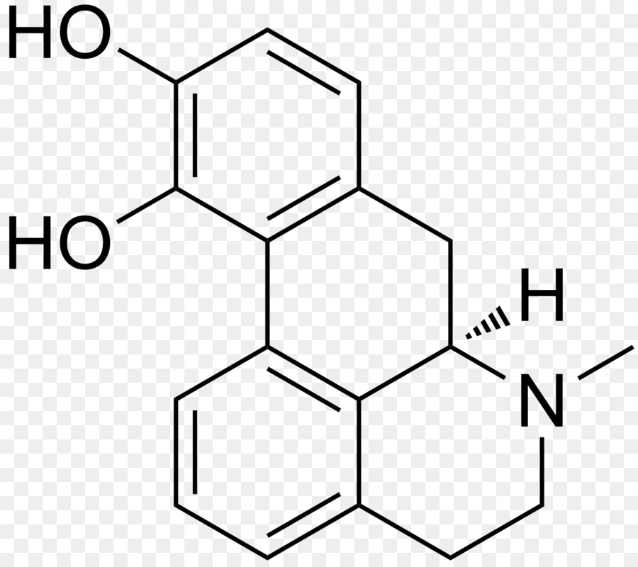 Estructura Química，Molécula PNG