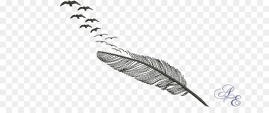 Pluma，Pájaros PNG