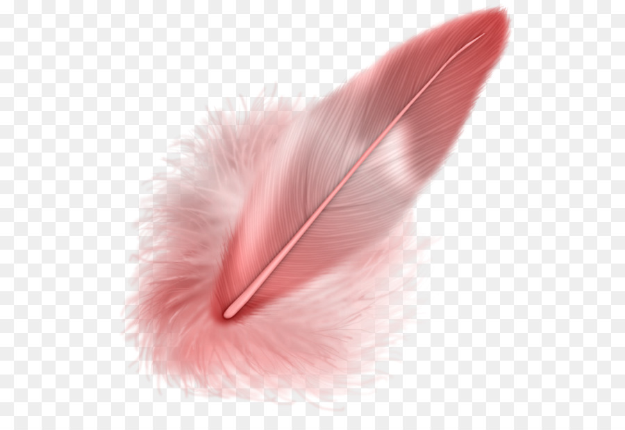 Pluma，Luz PNG