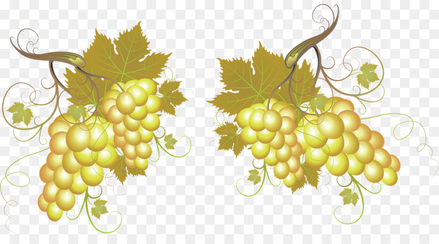 Uvas，Enredadera PNG