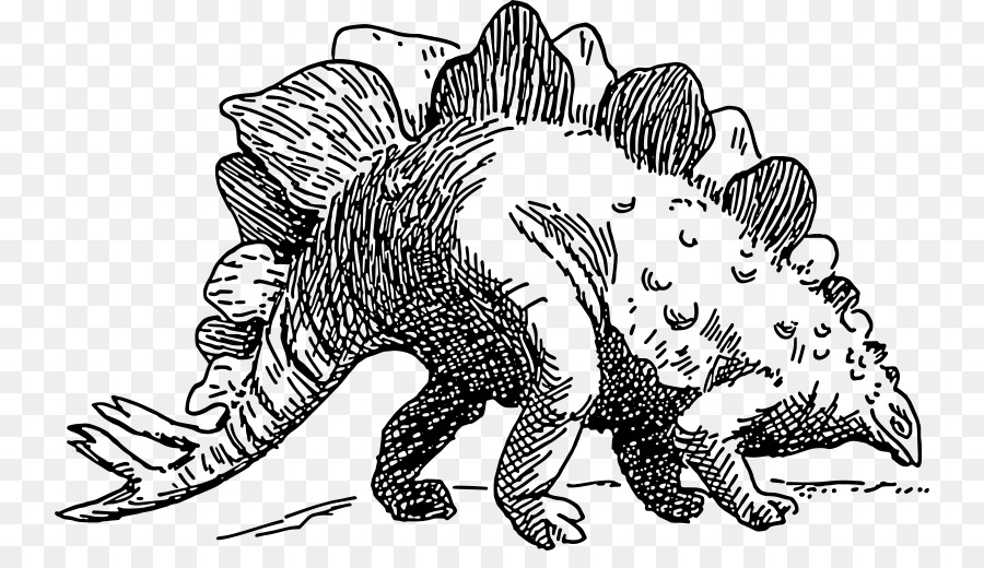 Stegosaurus，Tyrannosaurus PNG