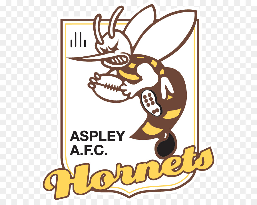 Norte Este De La Liga Australiana De Fútbol，Aspley Club De Fútbol PNG