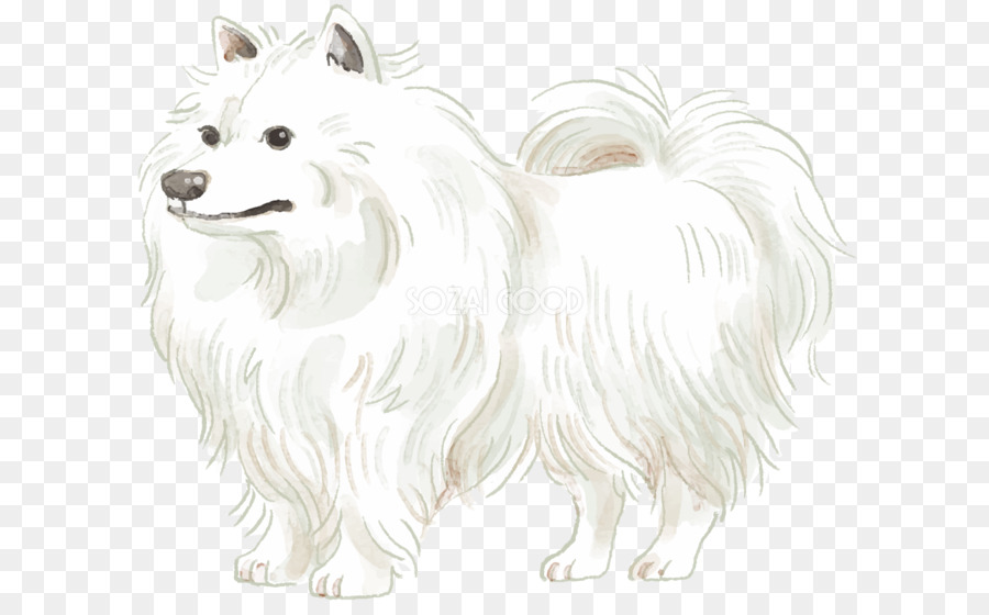 Perro Blanco Esponjoso，Mascota PNG