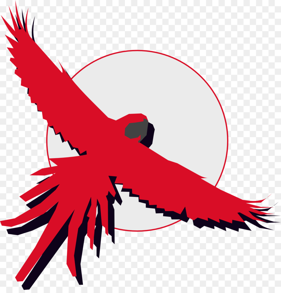 Pico，Pluma PNG