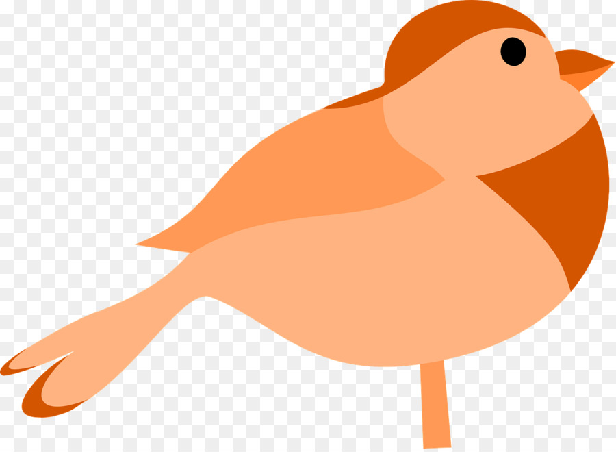 Pájaro，Pluma PNG