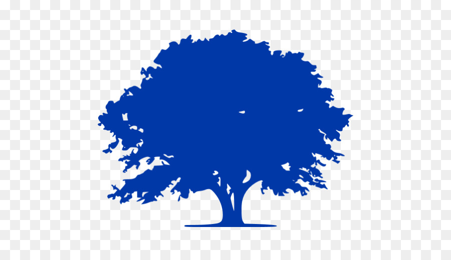 Roble，árbol PNG