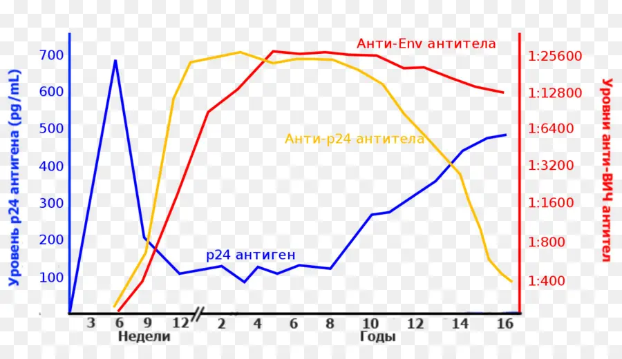 P24 Proteína De La Cápside，Antígeno PNG