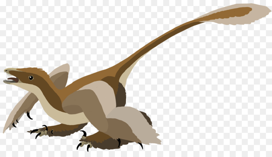 Velociraptor，Sinornithosaurus PNG