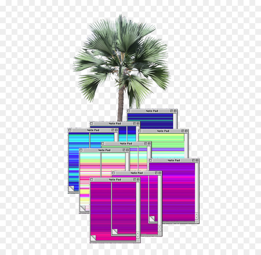 Arecaceae，árbol PNG