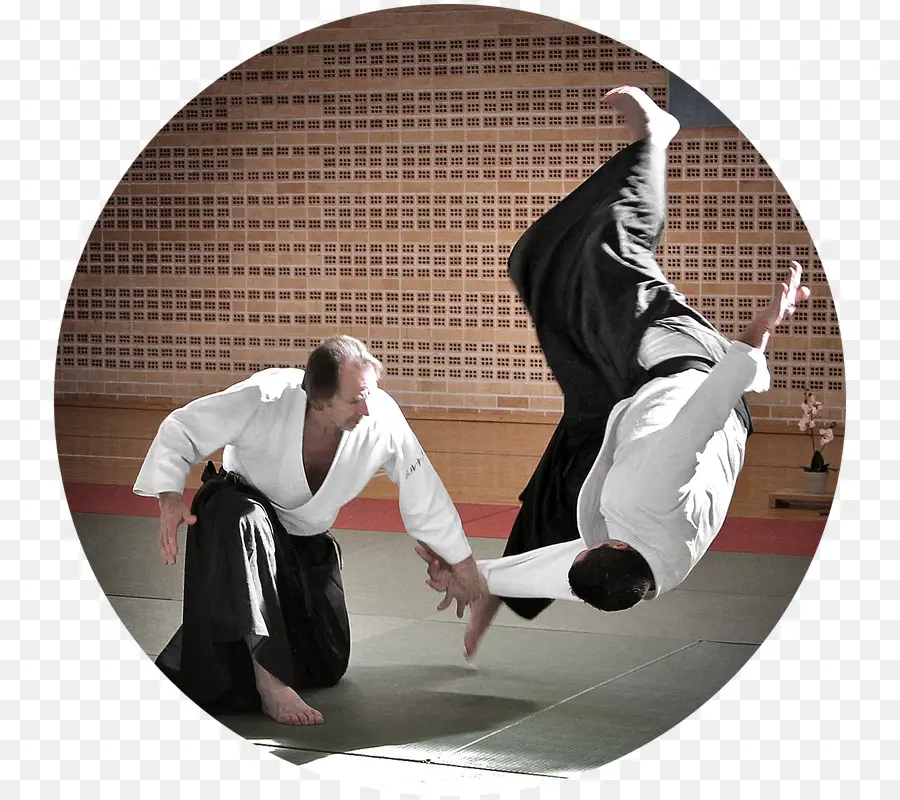 El Aikido，El Arte De La Paz PNG