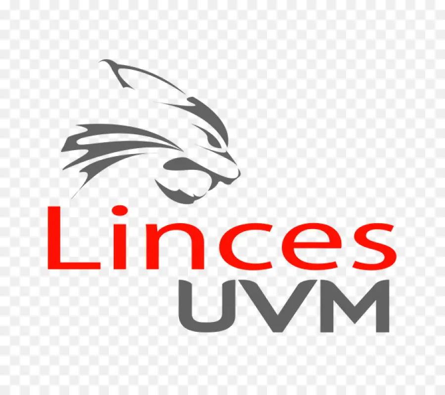 Universidad Del Valle De México，Lomas Verdes PNG