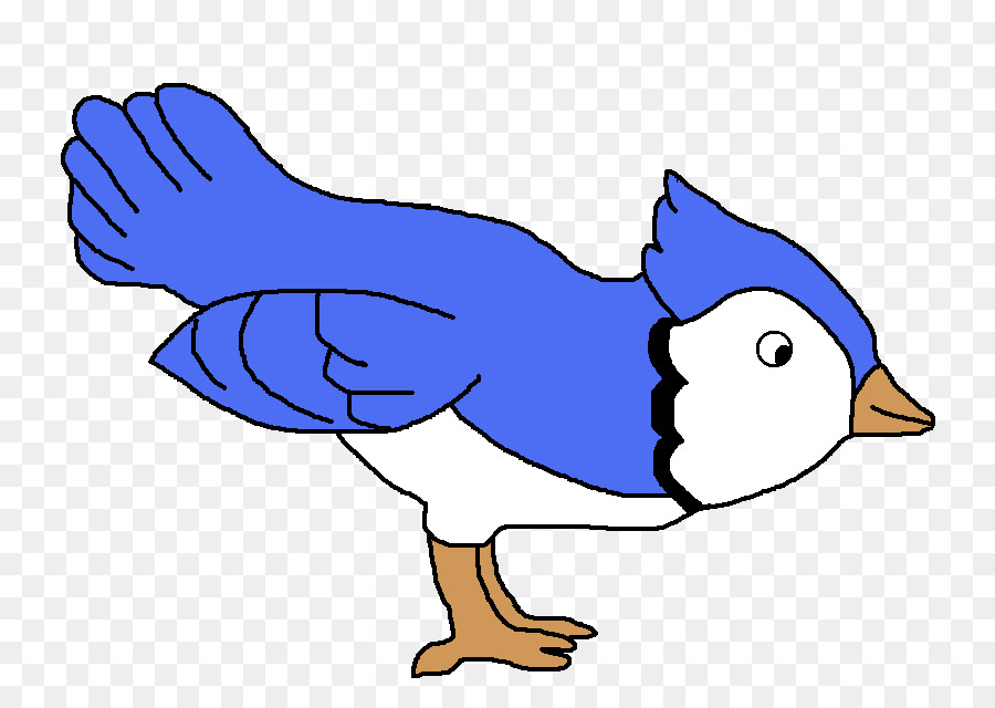 Blue Jay，Jay PNG