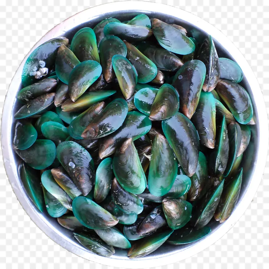 Mejillones Verdes，Mariscos PNG