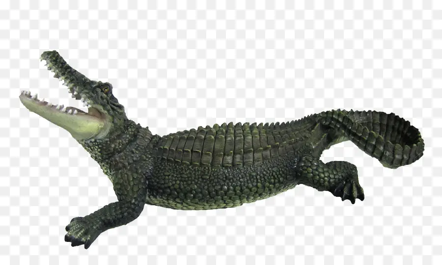 Cocodrilo，Reptil PNG