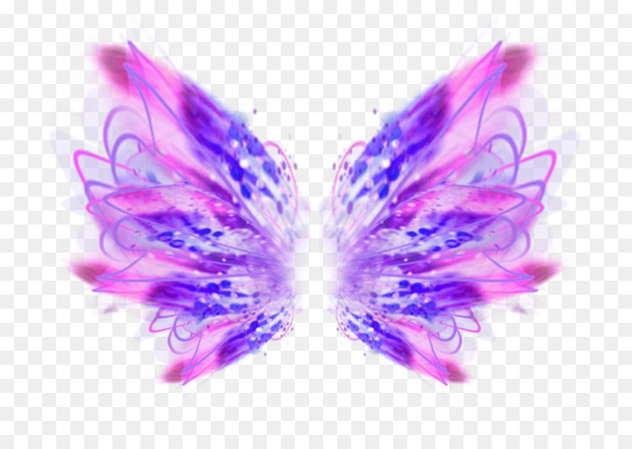 Alas De Mariposa Coloridas，Naturaleza PNG