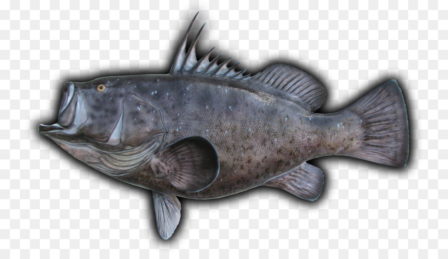 Bacalao，Los Productos De Pescado PNG