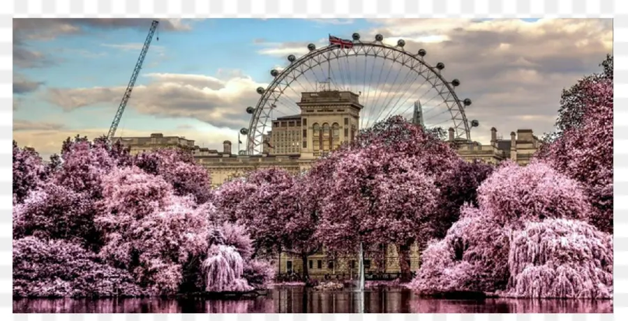 London Eye，Parque Hyde PNG