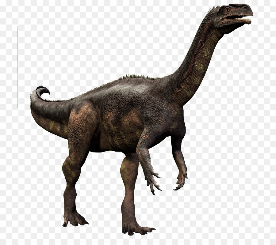 Velociraptor，Plateosaurus PNG