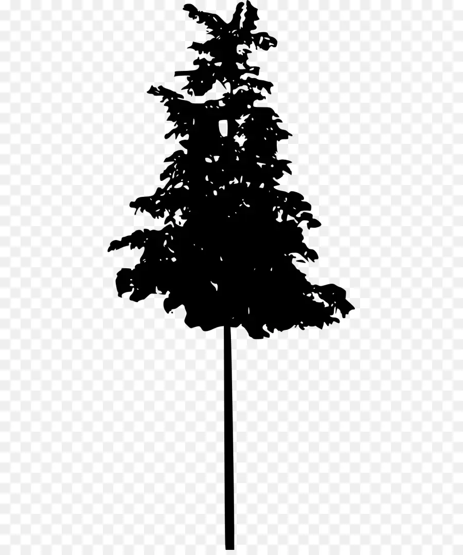 Silueta De Arbol，Negro PNG